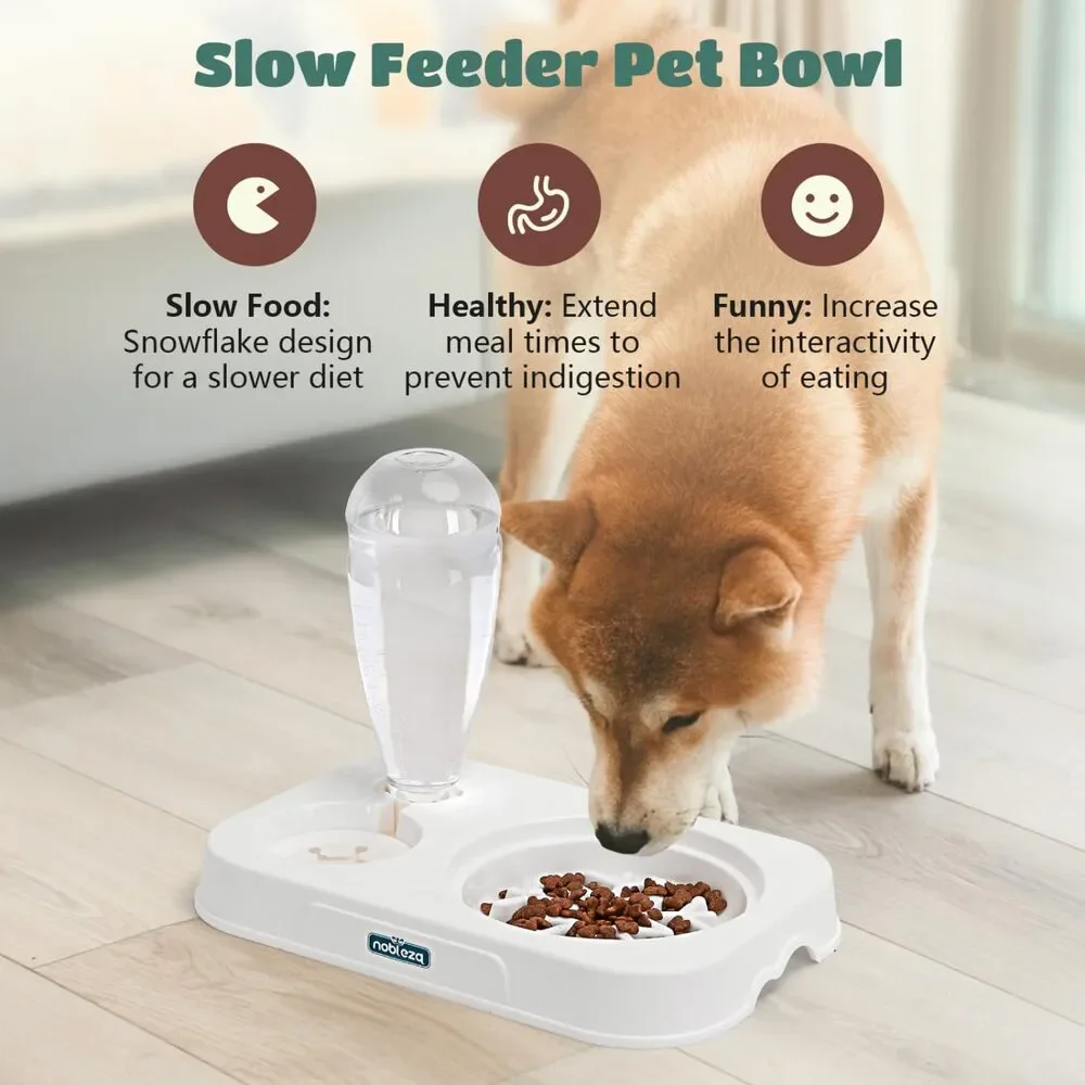New 3-in-1 Raised, Whisker Friendly, Slow Feeder Pet Bowl